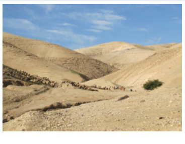 תמונה לראשי פסח (1)_20240331065148.704.jpg